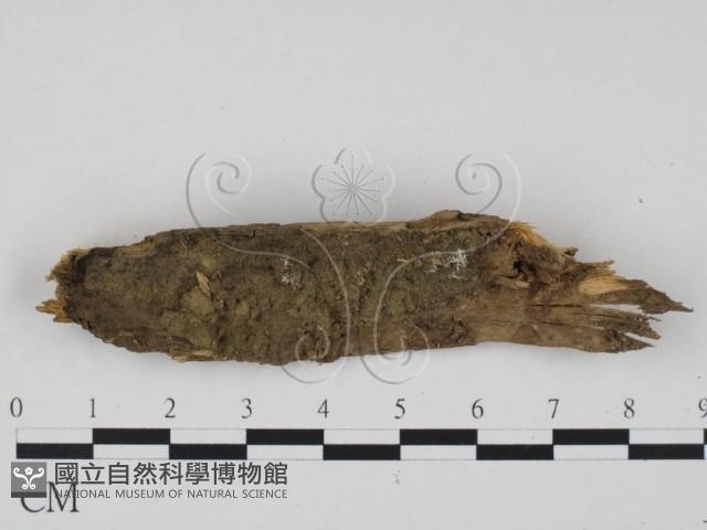 登錄號:F0009877藏品圖，第1張