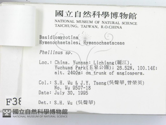 登錄號:F0003877藏品圖，第3張