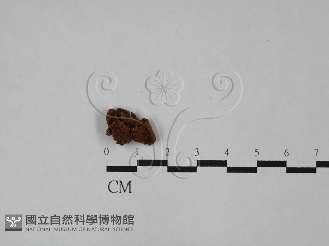 登錄號:F0028977藏品圖，第1張