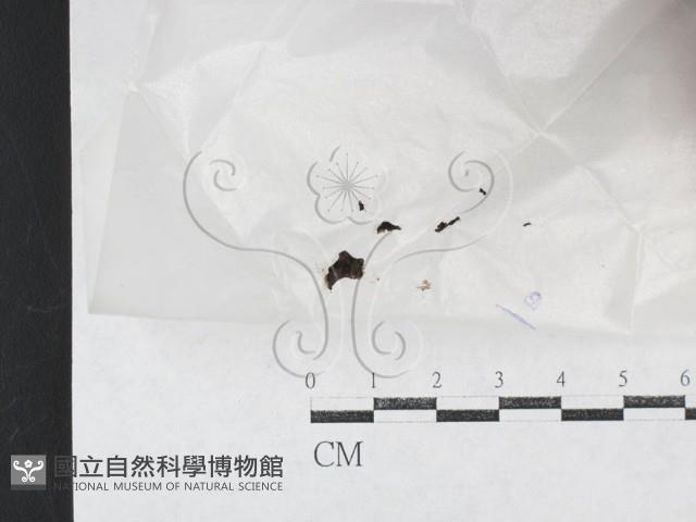 登錄號:F0026977藏品圖，第1張