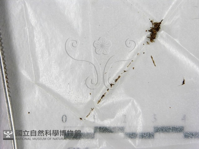 登錄號:F0001977藏品圖，第1張