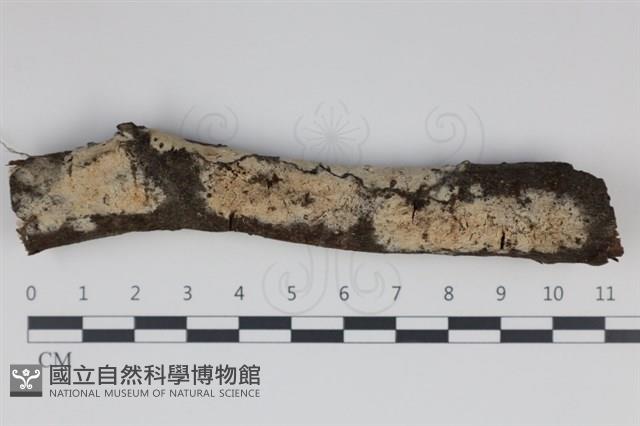 登錄號:F0034977藏品圖，第1張