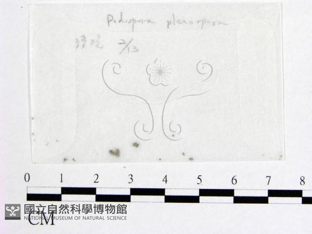 登錄號:F0007977藏品圖，第1張