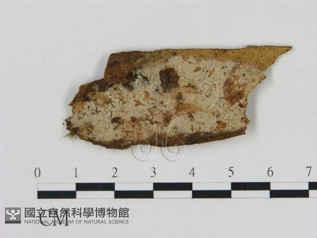 登錄號:F0003977藏品圖，第1張