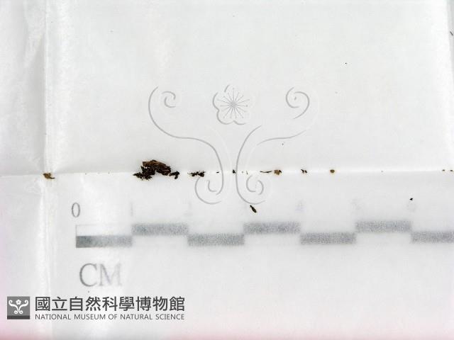 登錄號:F0000677藏品圖，第1張