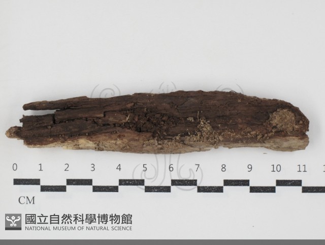 登錄號:F0034677藏品圖，第1張