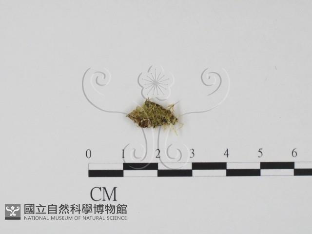 登錄號:F0019677藏品圖，第1張