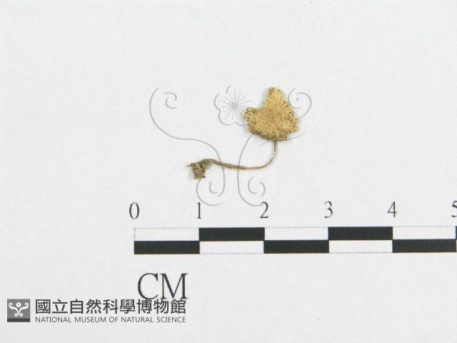 登錄號:F0008477藏品圖，第1張