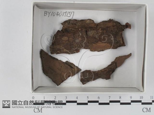 登錄號:F0018477藏品圖，第1張
