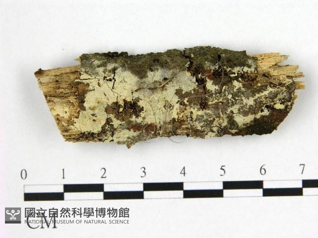登錄號:F0022477藏品圖，第1張