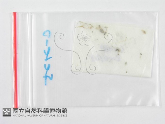 登錄號:F0007477藏品圖，第1張