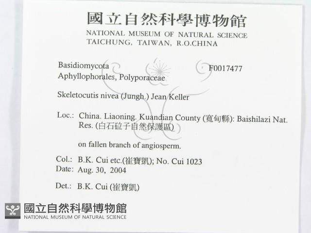 登錄號:F0017477藏品圖，第3張