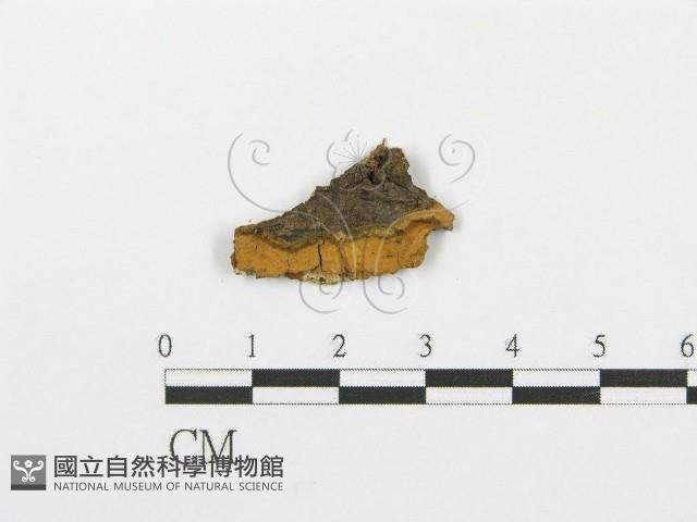 登錄號:F0002777藏品圖，第1張