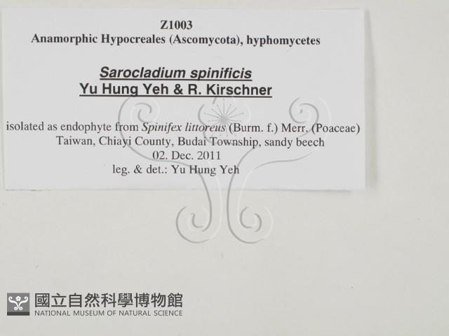 登錄號:F0027777藏品圖，第3張