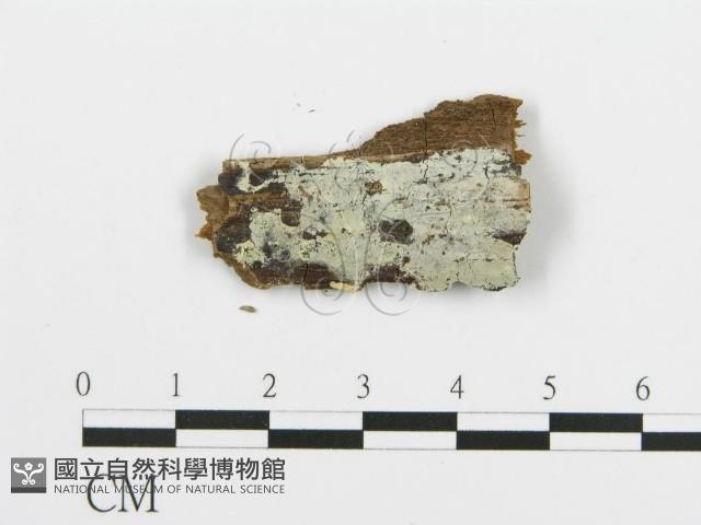 登錄號:F0017777藏品圖，第1張