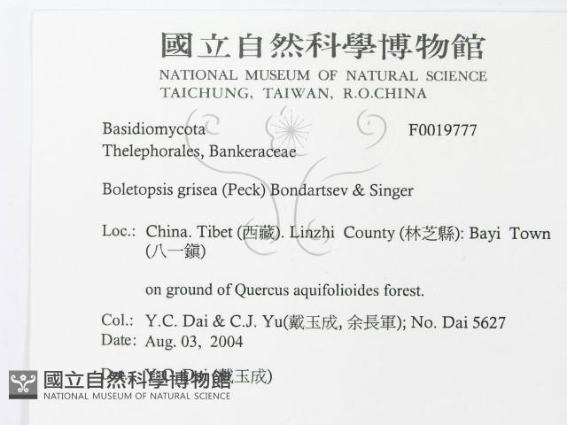 登錄號:F0019777藏品圖，第3張