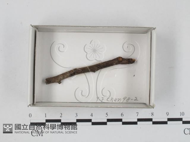 登錄號:F0018577藏品圖，第1張