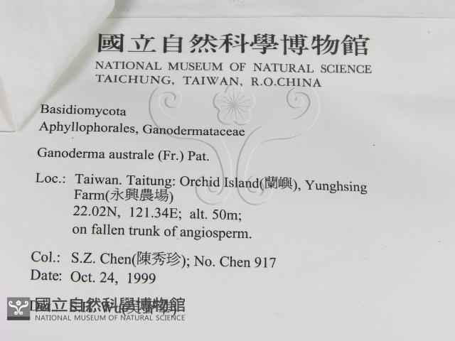 登錄號:F0010577藏品圖，第3張