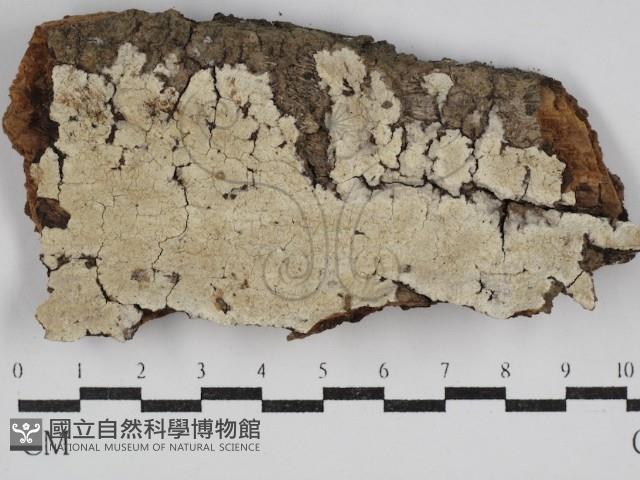 登錄號:F0030577藏品圖，第1張