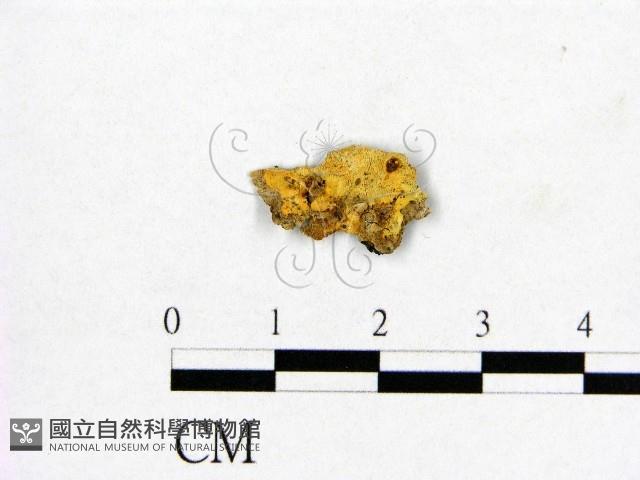 登錄號:F0017577藏品圖，第1張