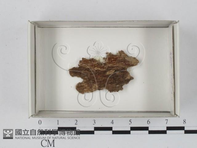 登錄號:F0018177藏品圖，第1張