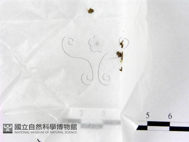 登錄號:F0000177藏品圖，第1張