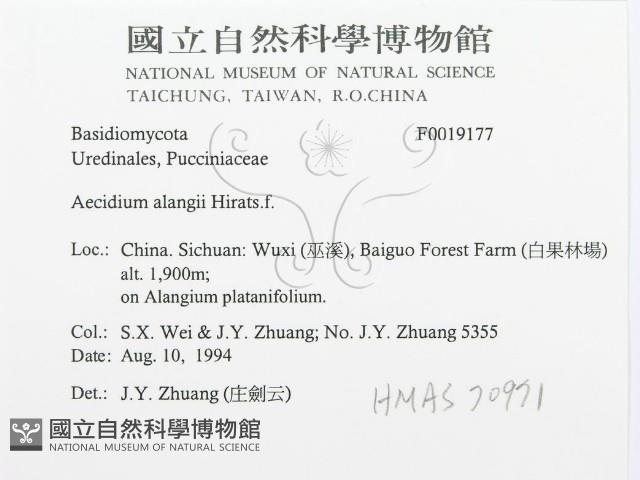 登錄號:F0019177藏品圖，第3張