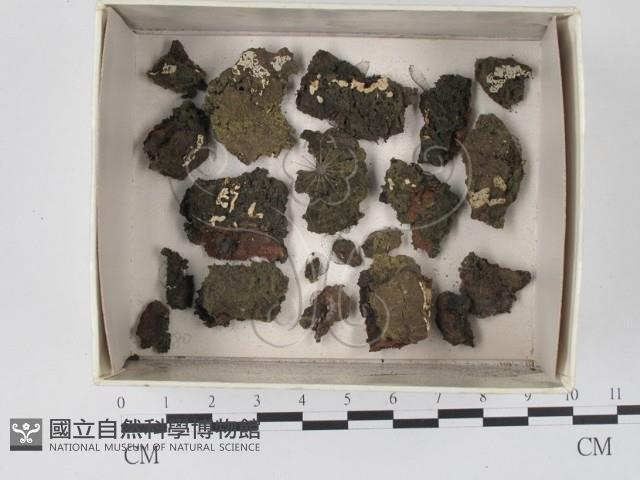 登錄號:F0018077藏品圖，第1張