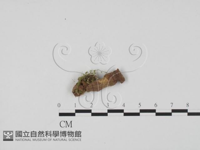 登錄號:F0004077藏品圖，第1張