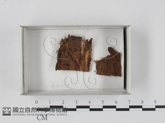 登錄號:F0018377藏品圖，第1張