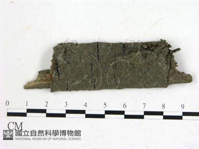 登錄號:F0010377藏品圖，第1張