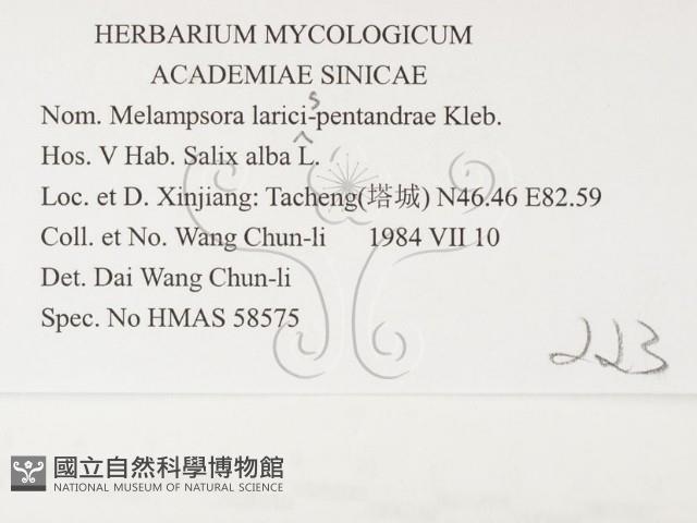 登錄號:F0026377藏品圖，第3張