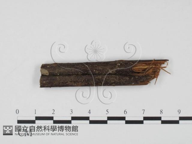登錄號:F0007377藏品圖，第1張