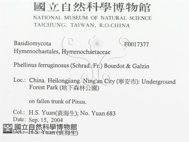 登錄號:F0017377藏品圖，第3張