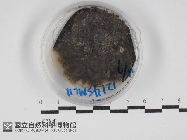 登錄號:F0030265藏品圖，第1張