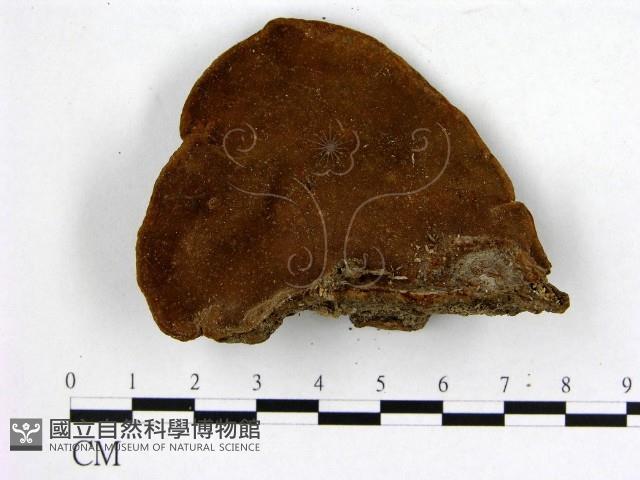 登錄號:F0018865藏品圖，第1張