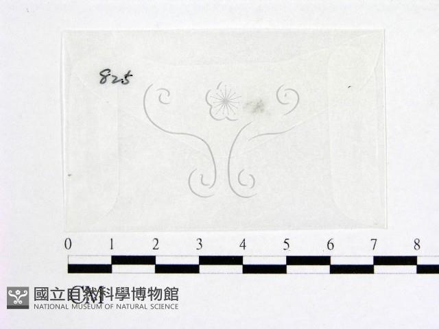 登錄號:F0012865藏品圖，第1張
