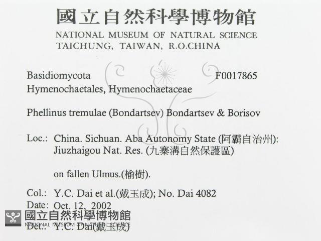 登錄號:F0017865藏品圖，第3張