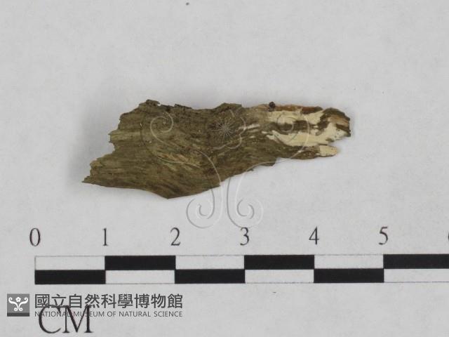 登錄號:F0024965藏品圖，第1張