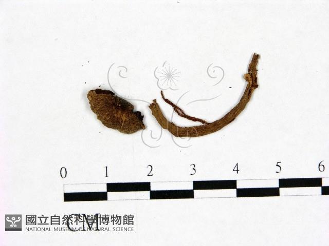 登錄號:F0022965藏品圖，第1張