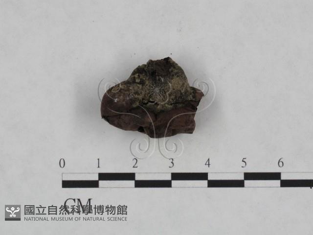 登錄號:F0023965藏品圖，第1張