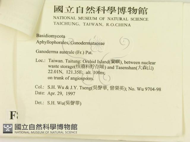 登錄號:F0008665藏品圖，第3張