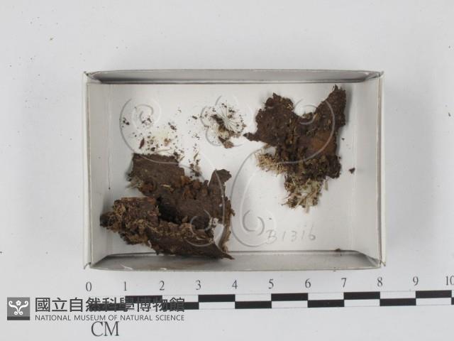 登錄號:F0018665藏品圖，第1張
