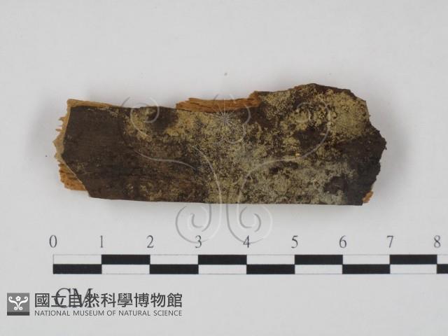 登錄號:F0016665藏品圖，第1張