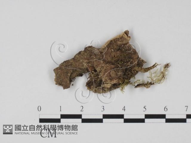 登錄號:F0001665藏品圖，第1張