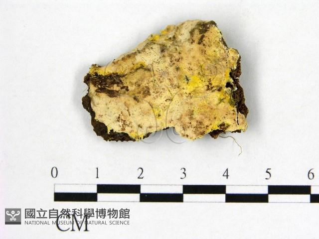 登錄號:F0007665藏品圖，第1張