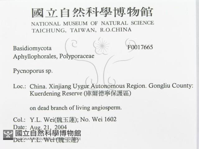 登錄號:F0017665藏品圖，第3張