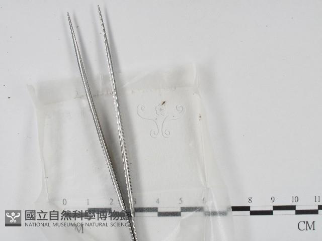 登錄號:F0004465藏品圖，第1張