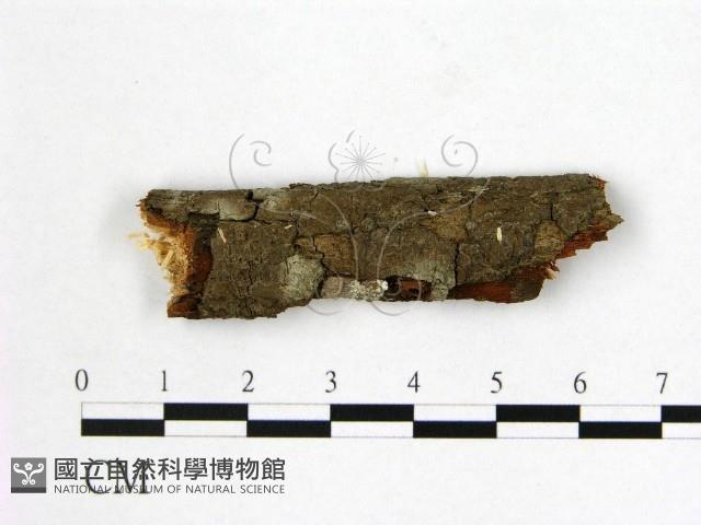 登錄號:F0002465藏品圖，第1張