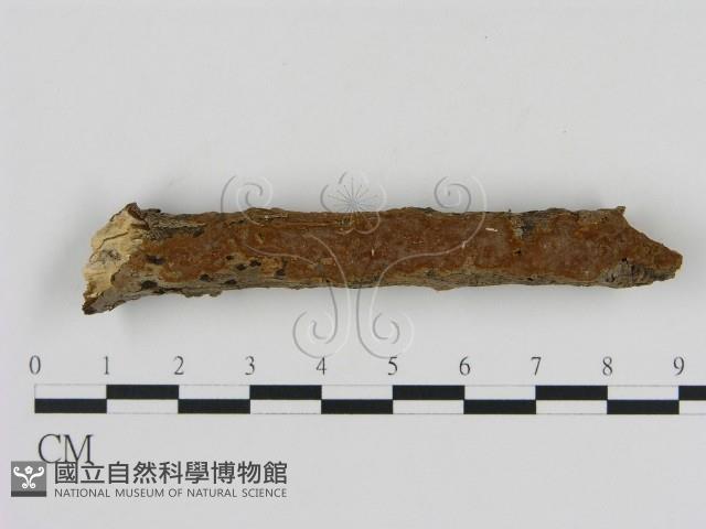 Accession Number:F0008765 Collection Image, Figure 1, Total 2 Figures